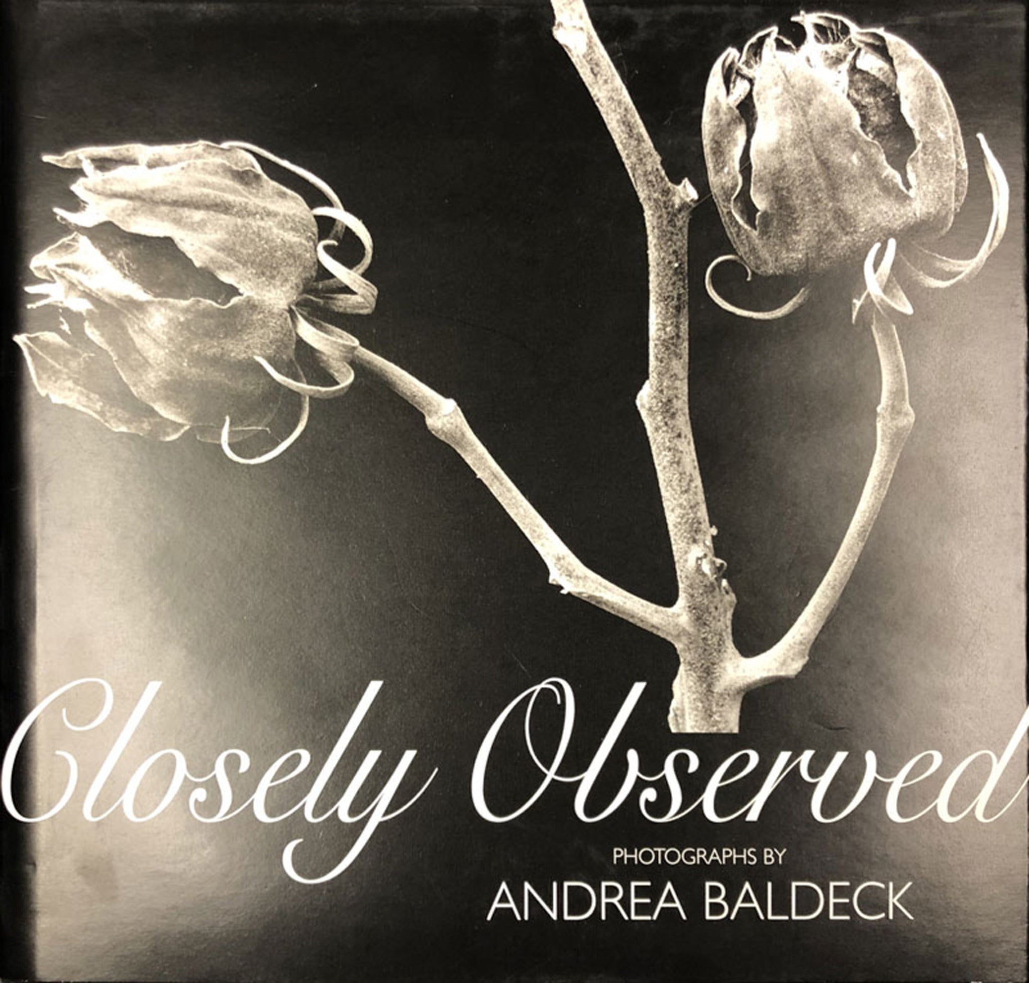 Cover image for Closely Observed ISBN 9781931707886
